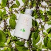 Body Powder, Organic, Free [sigunaraiza- Body Powder]