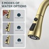 QFN Gold Kitchen Faucet with Pull Down Sprayer, High Arc