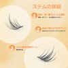 Hannie wish False Eyelashes, For Partial, Natural Bunch, 0.05 mm,