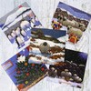 Christmas Card Pack by Irish Artist Thomas Joseph - Greeting