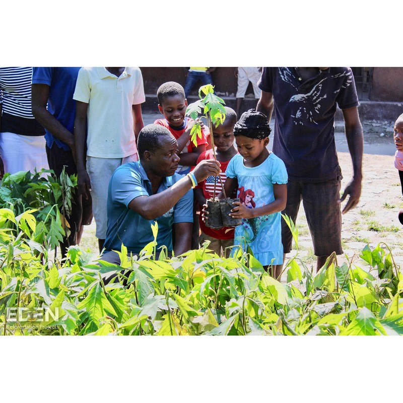 Rummershof Fishbone Tweezers - Fish Bone Pliers - Kitchen Tweezers