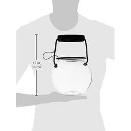 Flat River Group Dry Branch Sports Design Catch and Release Plastic Beach Aquarium Kit , Clear, Fish