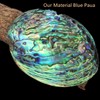 GOMMO Blue Paua Shell Veneer Sheet Enhanced for Inlay and