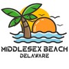 CafePress Delaware Middlesex Beach Aluminum License Plate Frame, License Tag