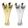 Ipetboom Makeup Spatula Set 4pcs Zinc Alloy Scoops Mini Spoons