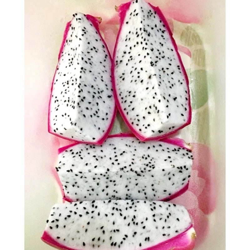 Seed-Top 250 Dragon Seeds Mix Pitahaya Rare varieties pitaya Easily