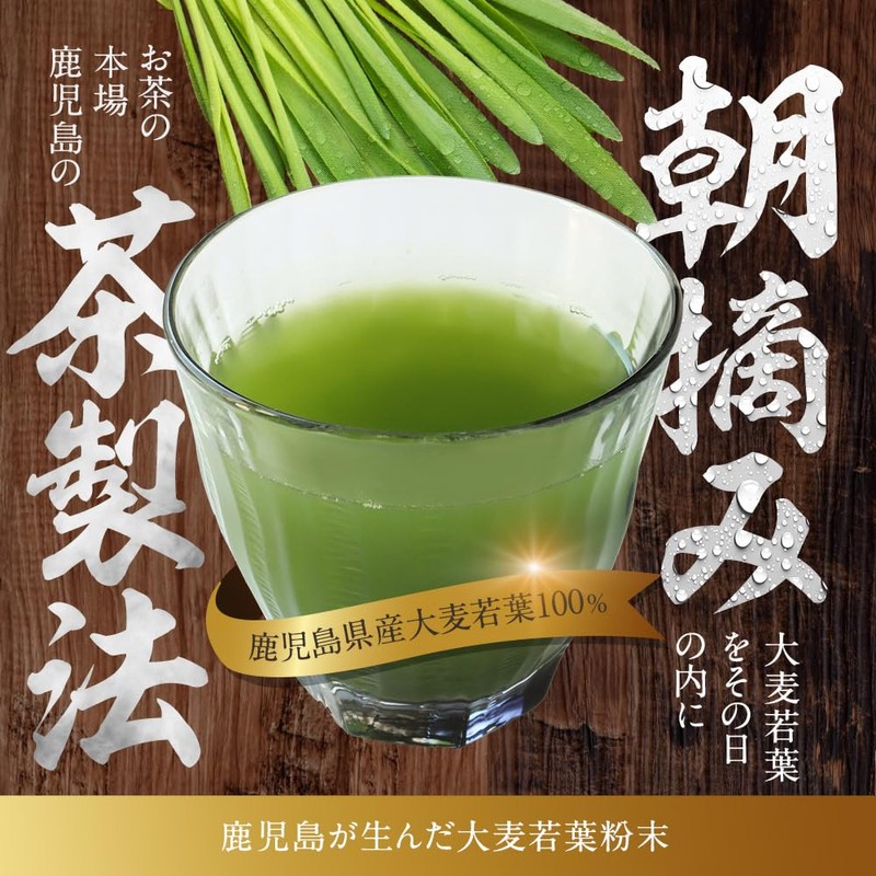 オーガランド 大麦若葉粉末 100g 朝摘み 大麦若葉粉末100% お徳用 鹿児島県産 青汁 農薬不使用 無添加