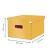 Leitz Click & Store Medium Storage Box, Foldable A4 File