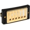Seymour Duncan Antiquity Humbucker Pickup - Gold Bridge
