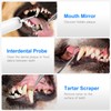 Dog Plaque and Tartar Remover - Dog Tooth Brushing Kit