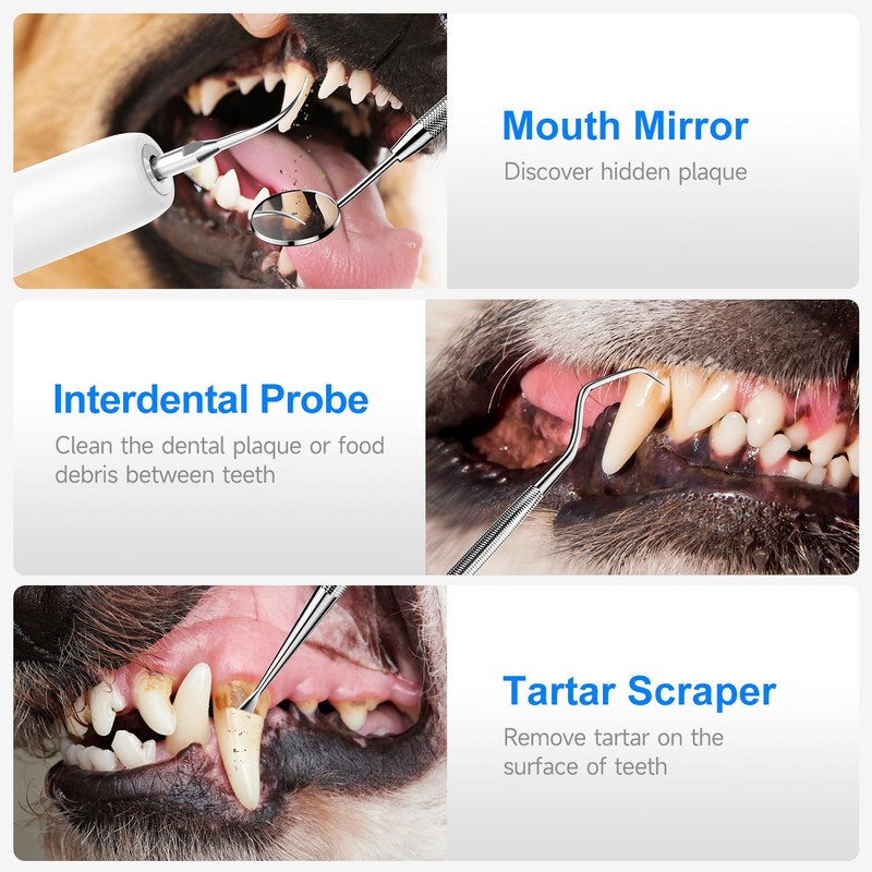 Dog Plaque and Tartar Remover - Dog Tooth Brushing Kit