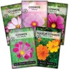 Sow Right Seeds - Cosmos Seed Collection for Planting- Non-GMO