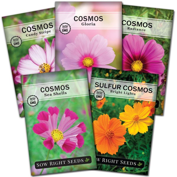 Sow Right Seeds - Cosmos Seed Collection for Planting- Non-GMO