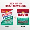 DAVID Sour Cream & Onion Jumbo Sunflower Seeds, Keto Friendly,