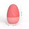 Ice Mold for Face - Cold Facial Massager - Egg