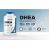 Nutricost DHEA 50mg, 240 Capsules - Gluten Free, Soy Free,
