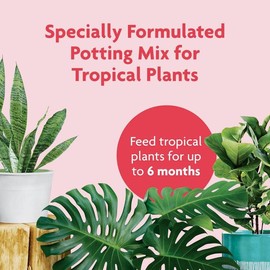Tropical Potting Soil Mix, 1 Bag 6 Dry Qt., Include Lava Rock for Added Drainage