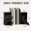 Dragon Bookshelf Decor, Gothic Fantasy Bookends for Home Office, Resin
