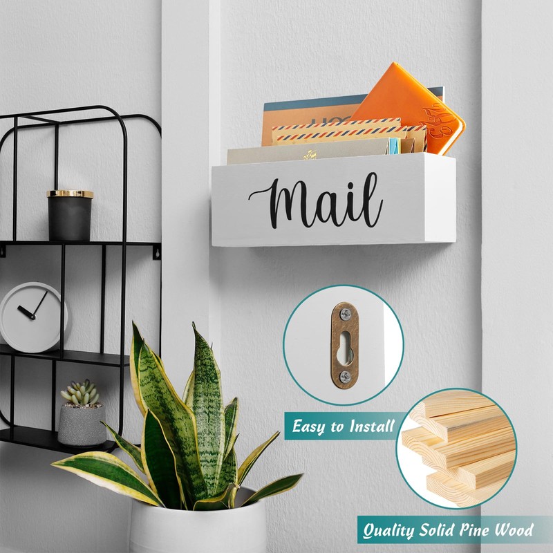 DRASTAR Mail Organizer, Mail Holder with 2 Slots, White Mail