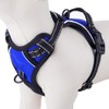 PHOEPET No Pull Dog Harnesses for Small Puppies Reflective Adjustable