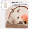 BCOATH Loofah Chewing Toy for Hamsters Guinea Pigs and Rabbits