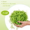 Outus 1LB Crinkle Cut Paper Shred Filler Shredded Paper for