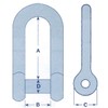 Long D Shackle Stainless Steel 8MM (Marine Boat Rigging Sails