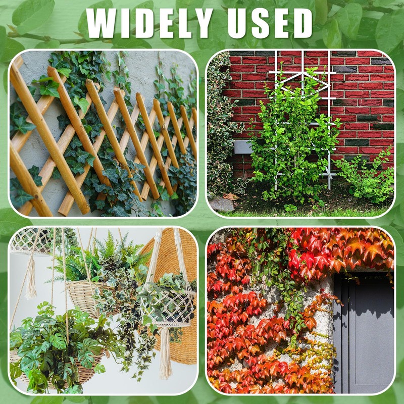 WILLBOND 350 Feet Plants Trellis Training Wire 2 Rolls Trellis