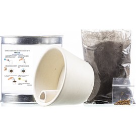 Kit Completo Infantil para sembrar Planta. Maceta autorriego de 5cm de cerámica ecológica con Tierra y Semillas Incluidas - Marca Hidroz.             