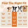 MICOOYO Disposable Male Dog Wraps, Male Dog Diapers Disposable with