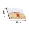YöL 4 Highland Cow Placemats & 4 Coasters - Dining
