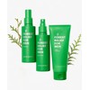 Nature Republic Forest Relief for Men Skincare Set (Mist +