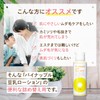 Pineapple Soy Milk Lotion Eco Pack Refill