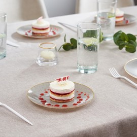 PLASTICPRO 30 Pack Disposable Plastic Plates Heavyweight Granite Look Elegant 7 inch Dinner Plates Grey with Gold Rim