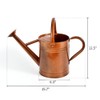 SunnyTong Metal Watering Can for Outdoor and Indoor Plants, Watering