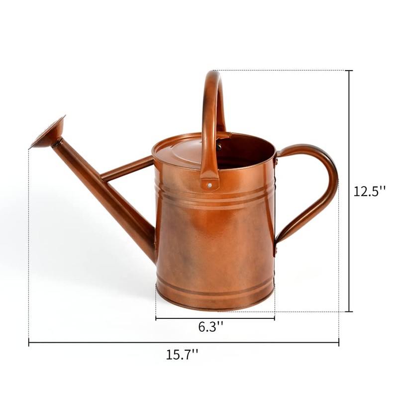 SunnyTong Metal Watering Can for Outdoor and Indoor Plants, Watering