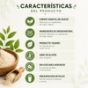 Silicio Orgánico Wildmountain 200 100 Algas Fosilizadas Fuente Vegetal Producto