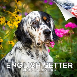 2025 2026 English Setter Calendar - Dog Breed Monthly Wall Calendar - 12" x 24" Open - Thick No-Bleed Paper - Giftable - Academic Teacher's Planner Calendar Organizing & Planning - Made in USA