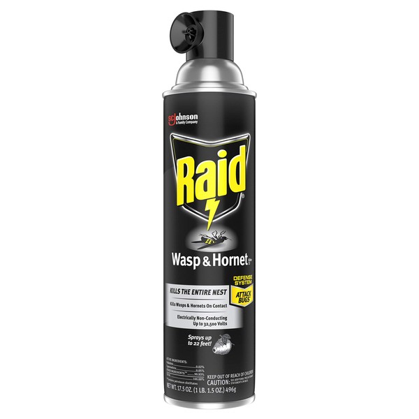 Raid Wasp and Hornet Killer, 17.5 OZ (Pack of 3)