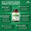 Zazzee Extra Strength Green Tea 20:1 Extract, 50% EGCG, 98%