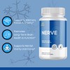 Pelican Vitamins NERVE Q- Brain Support- 10 Bottles- 600 Capsules
