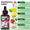 Сat Urinary Tract Infection Treatment with Cranberry – Dog UTI