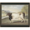 Lady Clare Traditional Coasters Naïve Animals