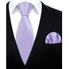 HISDERN Purple Ties for Men Striped Mens Ties Silk Necktie