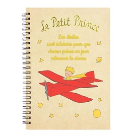 The Little Prince Notebook, Standard.