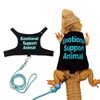 Bearded Dragon Lizards Clothes with Leash Set for Small Pets