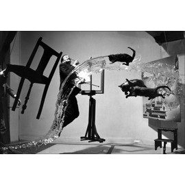 History Galore 24"x36" Gallery Poster, Salvador Dali A (Dali Atomicus) 1941