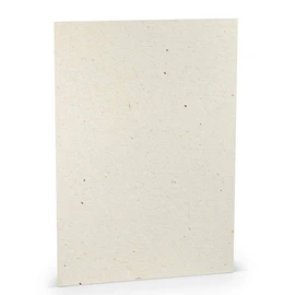 PAPERADO 50 x Craft Card DIN A4 - Terra Vanilla Cream Beige 220 g/m² Coloured Card - Thick Craft Paper in 29.7 x 21 cm Painting, Craft Perfect Craft Cardboard