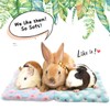 4 Pieces Rabbit Bunny Bed Guinea Pig Bed Mats Plush