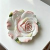 Minigift Ceramic Dessert Plate, 3D Hand-paint Champagne Rose Fruit Plate